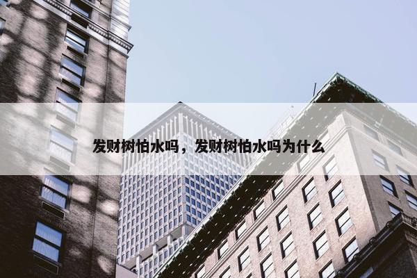 发财树怕水吗，发财树怕水吗为什么