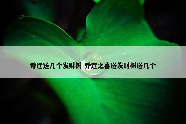 乔迁送几个发财树 乔迁之喜送发财树送几个