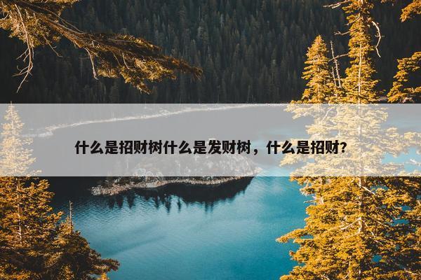 什么是招财树什么是发财树，什么是招财?