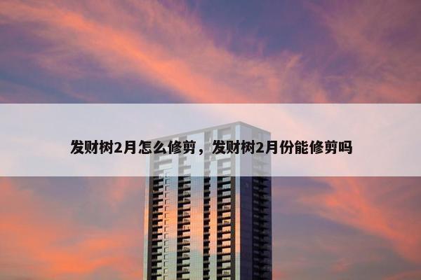 发财树2月怎么修剪，发财树2月份能修剪吗