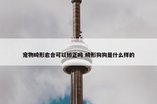 宠物畸形愈合可以矫正吗 畸形狗狗是什么样的