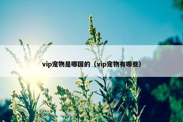 vip宠物是哪国的（vip宠物有哪些）