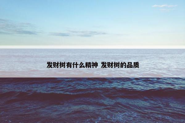 发财树有什么精神 发财树的品质