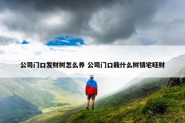 公司门口发财树怎么养 公司门口栽什么树镇宅旺财