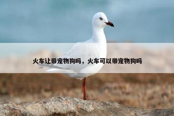 火车让带宠物狗吗，火车可以带宠物狗吗