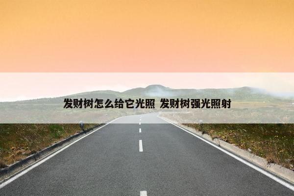 发财树怎么给它光照 发财树强光照射