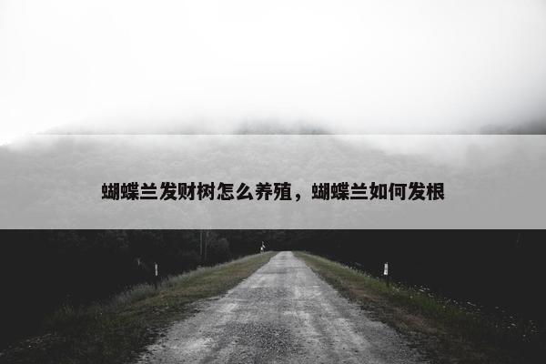 蝴蝶兰发财树怎么养殖，蝴蝶兰如何发根