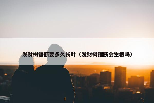 发财树锯断要多久长叶（发财树锯断会生根吗）