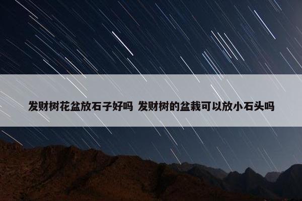 发财树花盆放石子好吗 发财树的盆栽可以放小石头吗