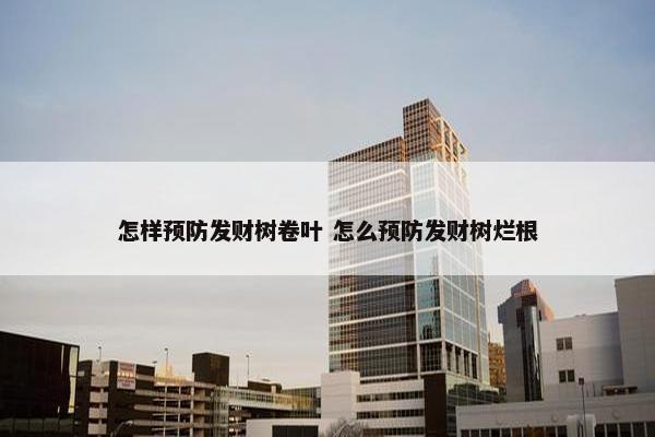 怎样预防发财树卷叶 怎么预防发财树烂根