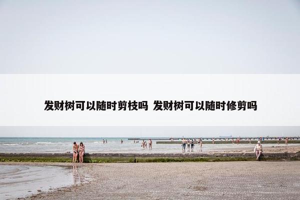 发财树可以随时剪枝吗 发财树可以随时修剪吗