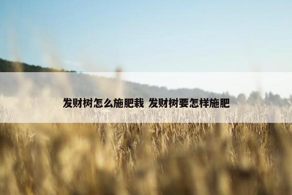 发财树怎么施肥栽 发财树要怎样施肥