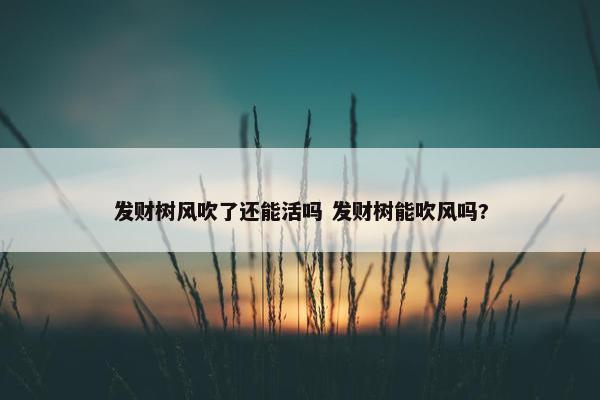 发财树风吹了还能活吗 发财树能吹风吗?