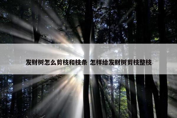 发财树怎么剪枝和枝条 怎样给发财树剪枝整枝