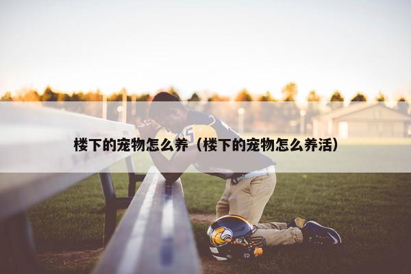 楼下的宠物怎么养（楼下的宠物怎么养活）