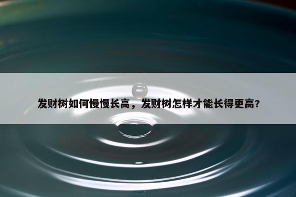 发财树如何慢慢长高，发财树怎样才能长得更高?