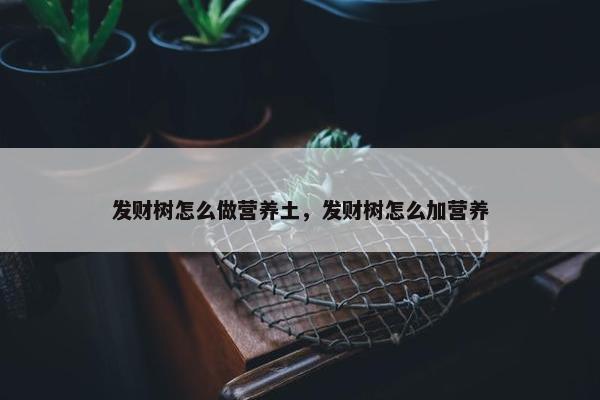 发财树怎么做营养土，发财树怎么加营养