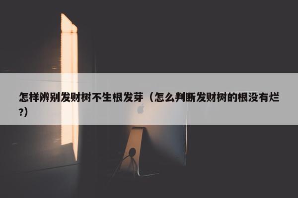 怎样辨别发财树不生根发芽（怎么判断发财树的根没有烂?）