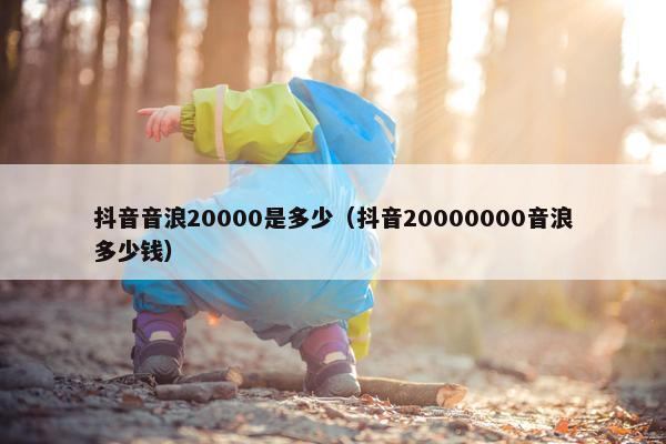 抖音音浪20000是多少（抖音20000000音浪多少钱）