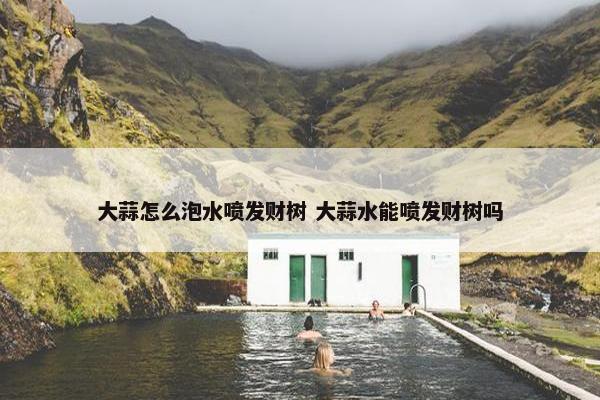 大蒜怎么泡水喷发财树 大蒜水能喷发财树吗