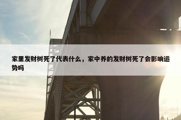 家里发财树死了代表什么，家中养的发财树死了会影响运势吗