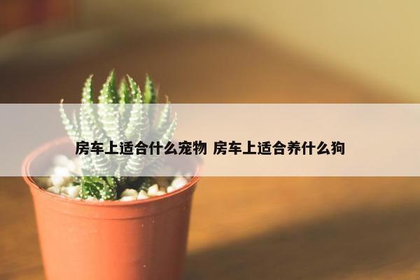 房车上适合什么宠物 房车上适合养什么狗