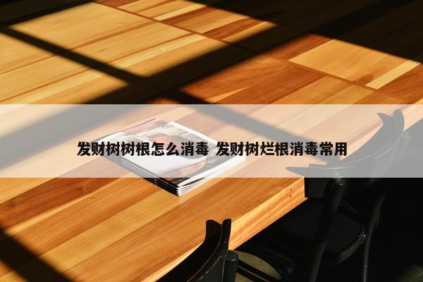 发财树树根怎么消毒 发财树烂根消毒常用