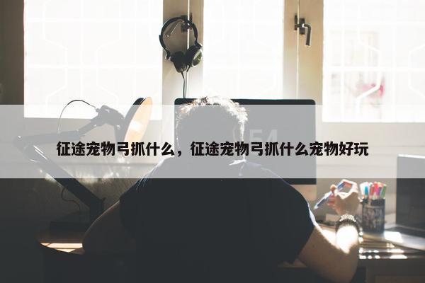 征途宠物弓抓什么，征途宠物弓抓什么宠物好玩