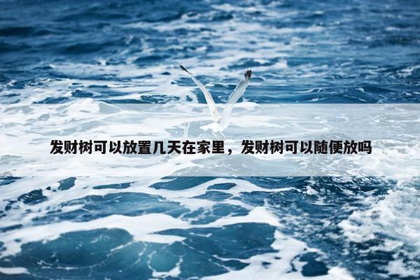 发财树可以放置几天在家里，发财树可以随便放吗