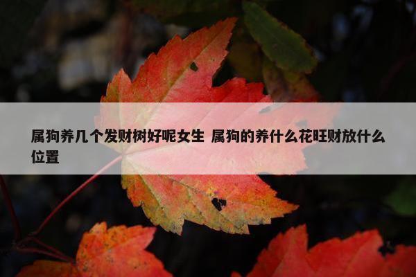 属狗养几个发财树好呢女生 属狗的养什么花旺财放什么位置