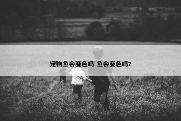 宠物鱼会变色吗 鱼会变色吗?