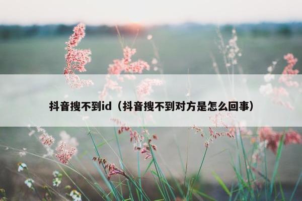 抖音搜不到id（抖音搜不到对方是怎么回事）