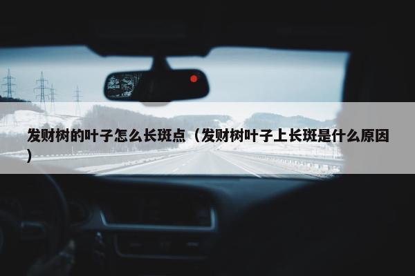 发财树的叶子怎么长斑点（发财树叶子上长斑是什么原因）