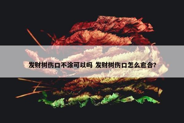 发财树伤口不涂可以吗 发财树伤口怎么愈合?