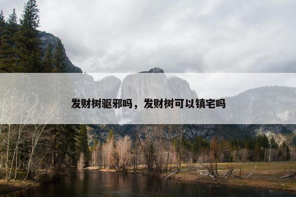 发财树驱邪吗，发财树可以镇宅吗