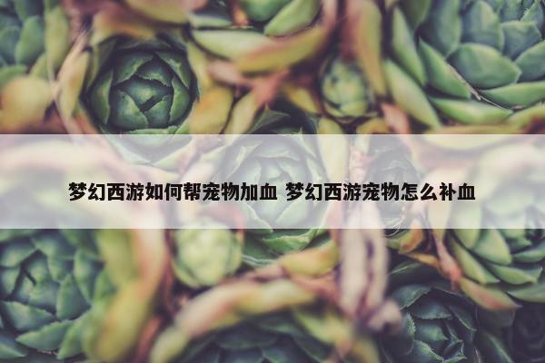 梦幻西游如何帮宠物加血 梦幻西游宠物怎么补血