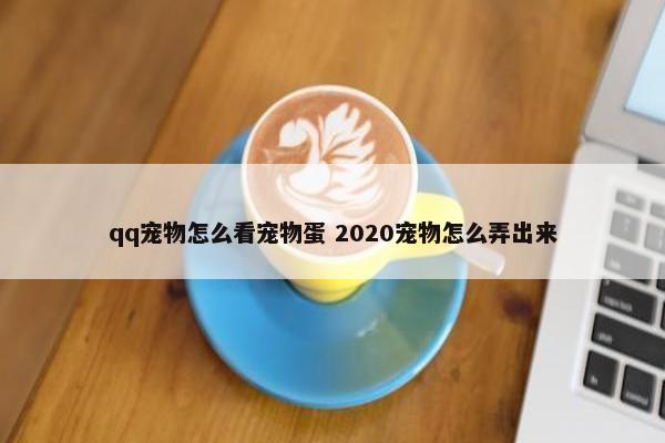 qq宠物怎么看宠物蛋 2020宠物怎么弄出来