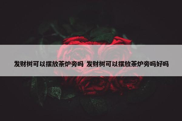 发财树可以摆放茶炉旁吗 发财树可以摆放茶炉旁吗好吗