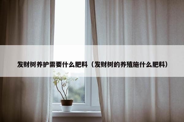 发财树养护需要什么肥料（发财树的养殖施什么肥料）