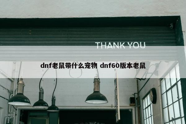 dnf老鼠带什么宠物 dnf60版本老鼠