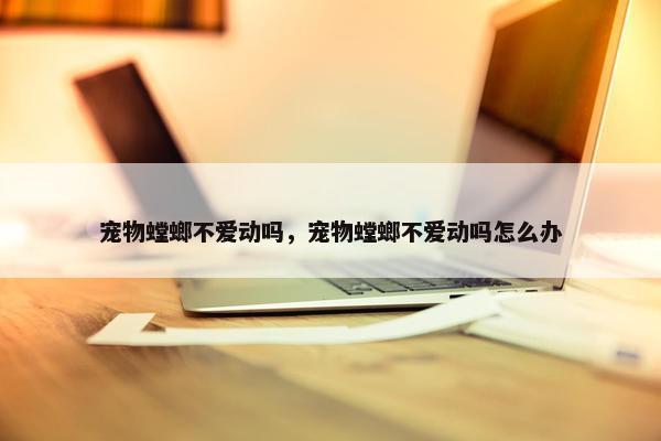 宠物螳螂不爱动吗，宠物螳螂不爱动吗怎么办