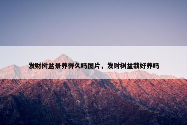 发财树盆景养得久吗图片，发财树盆栽好养吗