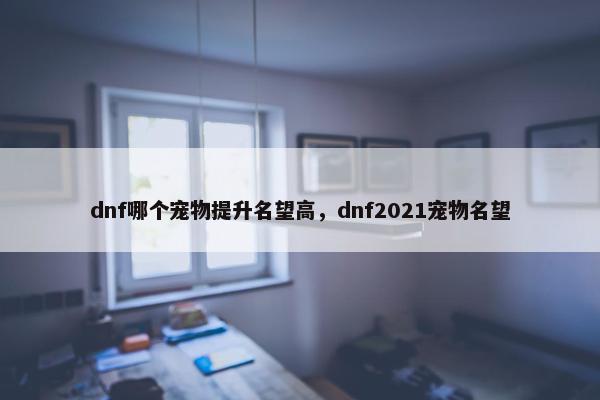 dnf哪个宠物提升名望高，dnf2021宠物名望