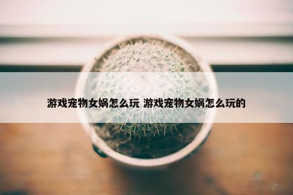 游戏宠物女娲怎么玩 游戏宠物女娲怎么玩的