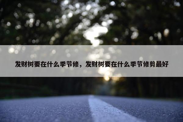 发财树要在什么季节修，发财树要在什么季节修剪最好