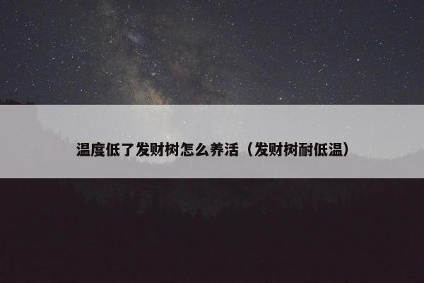 温度低了发财树怎么养活（发财树耐低温）