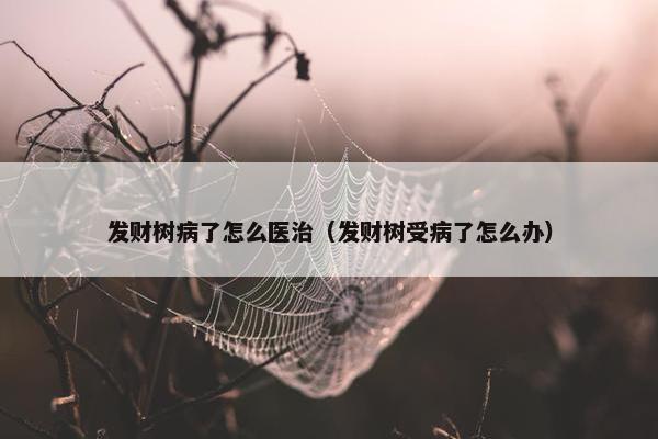 发财树病了怎么医治（发财树受病了怎么办）