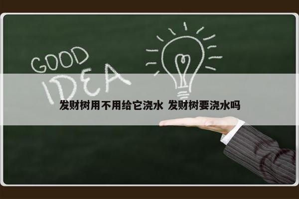 发财树用不用给它浇水 发财树要浇水吗