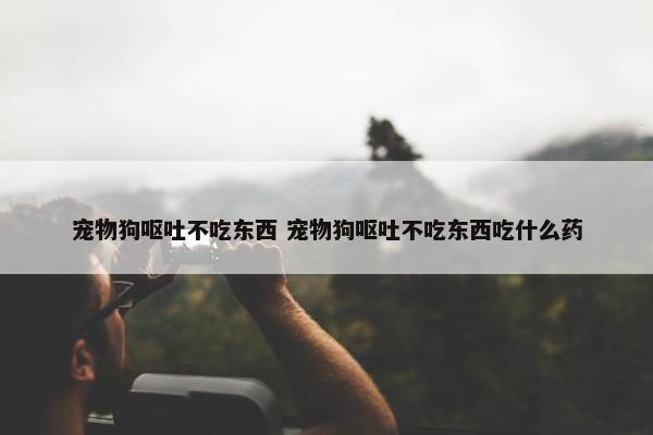 宠物狗呕吐不吃东西 宠物狗呕吐不吃东西吃什么药