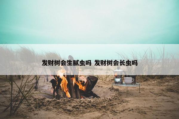 发财树会生腻虫吗 发财树会长虫吗